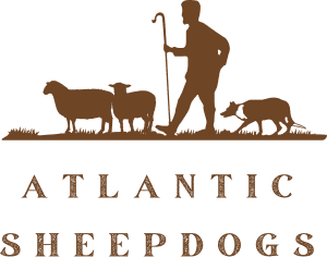 Atlantic Sheepdogs