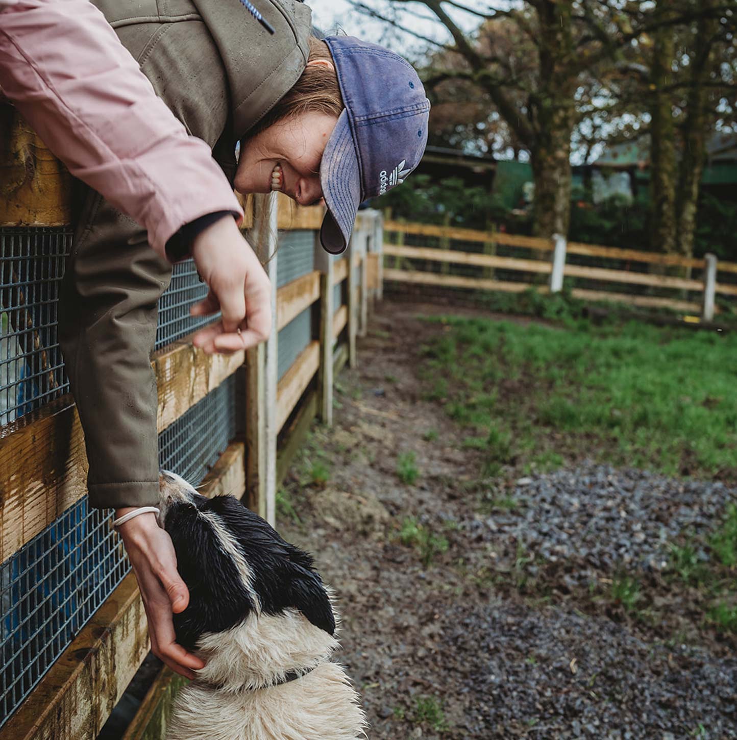 atlantic sheepdogs Family